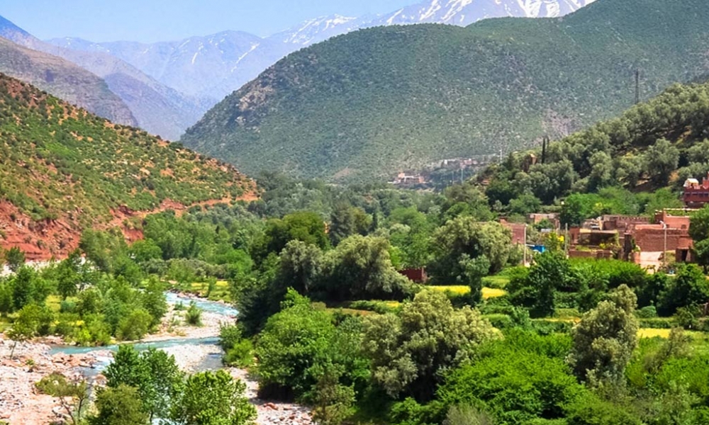 1 Day Trip To Ourika Valley And Atlas Mountains From Marrakech