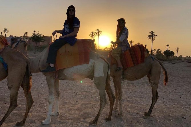 Half-Day Sunset Camel Ride In The Palm Grove Of Marrakech